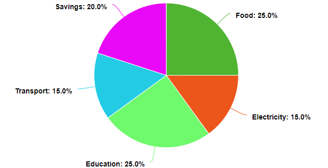 Pie chart showing budget of family used to analyze univariate data