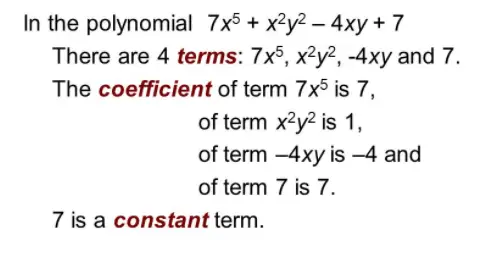What is constant term of a polynomial